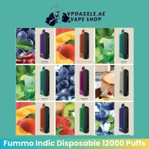 FUMMO Indic 12000 Puffs Disposable Vape