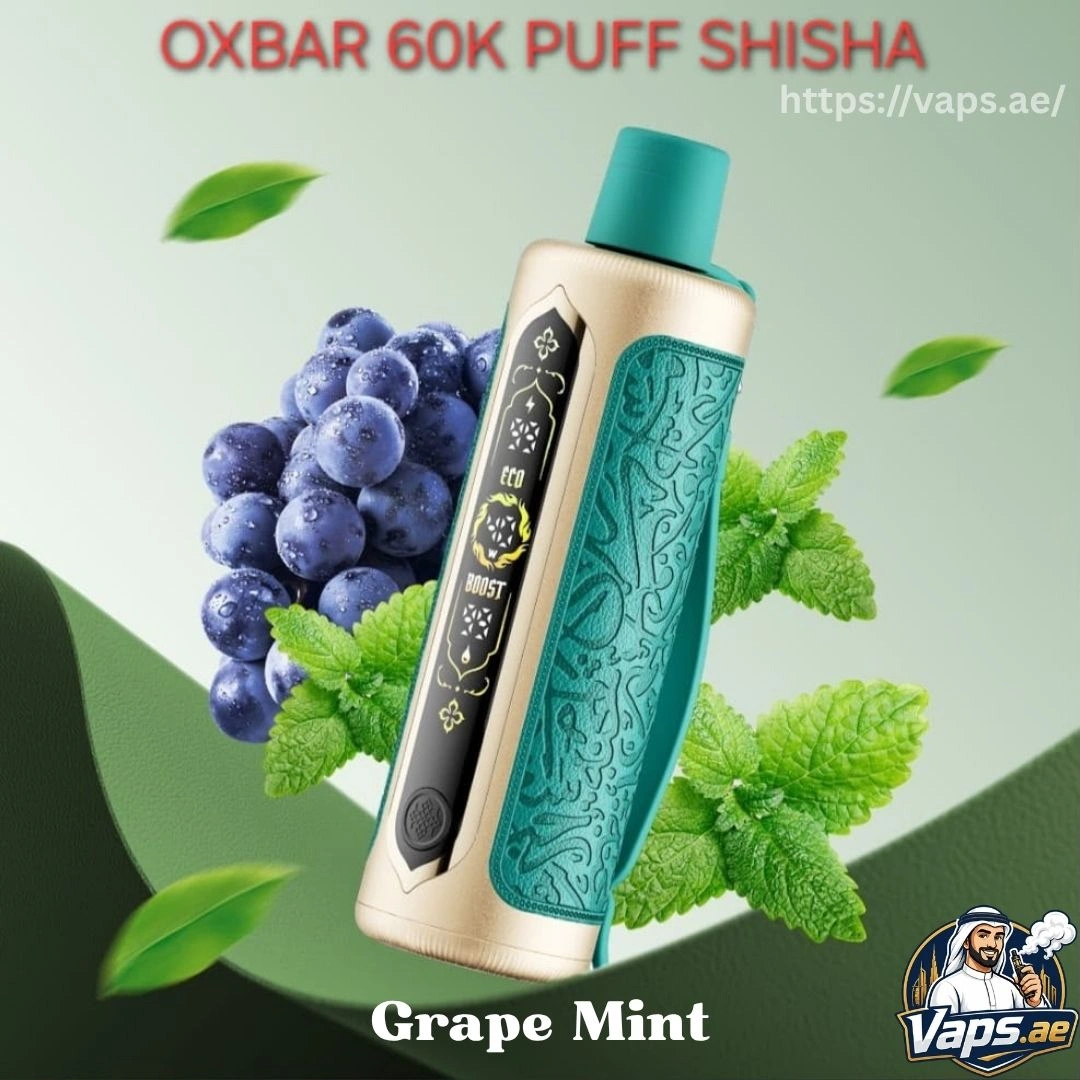 Oxbar Shisha 60000 Puffs Grape Mint