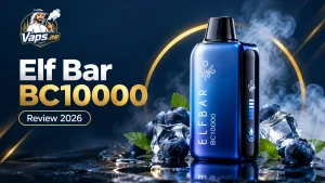 Elf Bar BC10000 Review